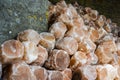 Pile of Rock Salt Lamps